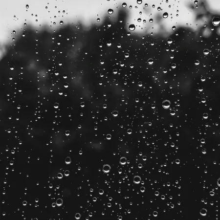 Close-up of numerous rain droplets on a window with blurred dark trees and gray sky in the background.