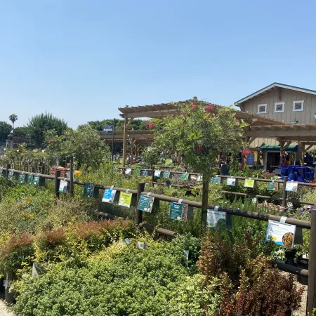 Outdoor plant nursery with diverse greenery, labeled plants, pergola, and a building under clear blue sky.