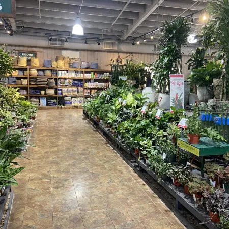 Indoor plant section in a garden store with various green plants and gardening supplies on display