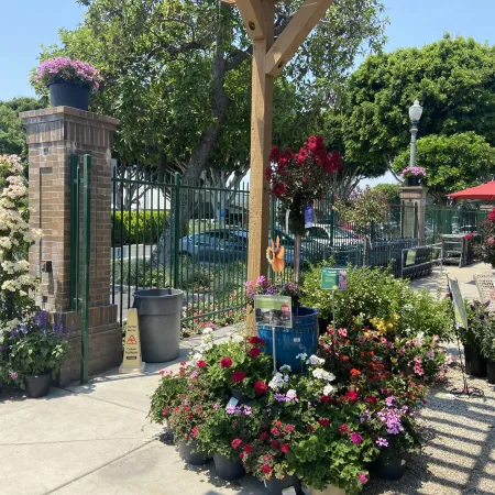 Outdoor garden center with vibrant flowering plants, brick pillars, and green metal fencing on a sunny day.