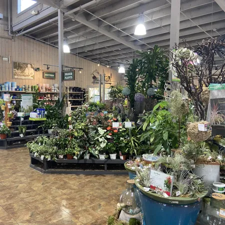 Indoor garden center with various potted plants, garden supplies, and decorative greenery under bright lighting.