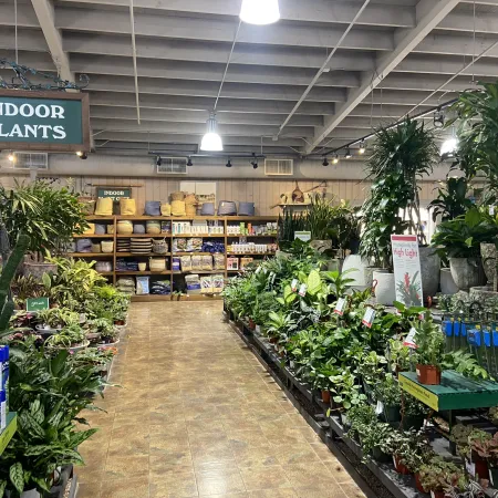 Indoor plant section in a garden store with various green plants, pots, and gardening supplies under bright lights