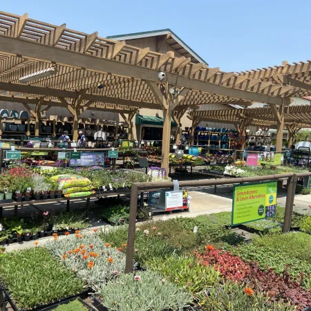 Outdoor garden center with various flowering plants, greenery, and gardening supplies under wooden pergolas on a sunny day