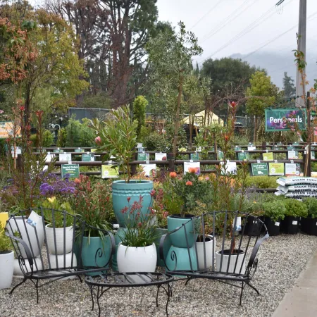 Outdoor garden center with potted plants, flowers, benches, and signage on a rainy day with overcast sky.