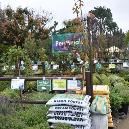 Outdoor garden center with nursery plants, potting soil bags, wooden signs, and a pathway on a cloudy day.