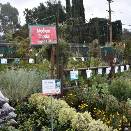 Outdoor garden center section with various medium shrubs and informational signs under a cloudy sky.