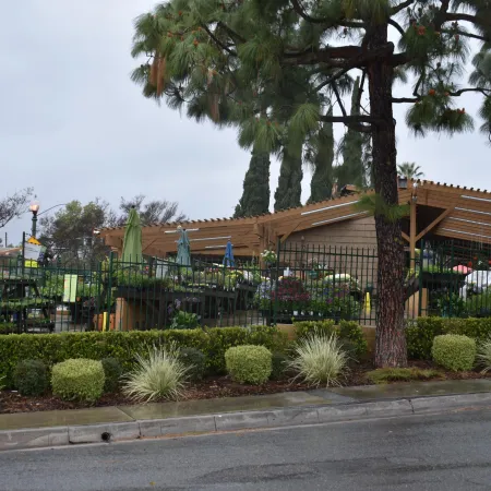 Outdoor garden center with plants, shrubs, umbrellas, wooden pergola, and a large tree on a cloudy day.