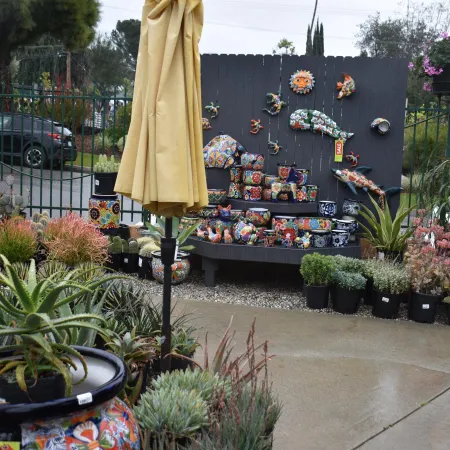 Outdoor garden display with various succulents and colorful ceramic pots against a black fence under overcast sky.