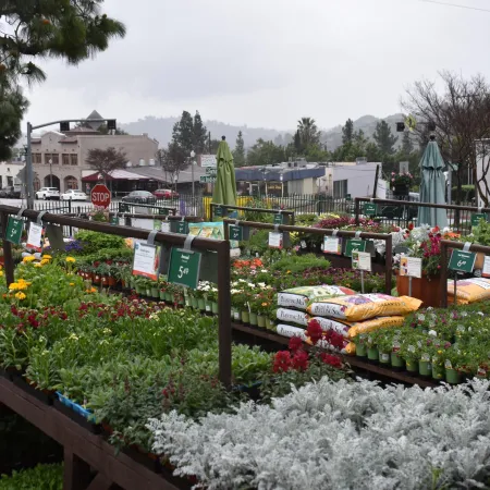 Outdoor garden center with various colorful flowers, plants, and gardening supplies on display under cloudy skies.
