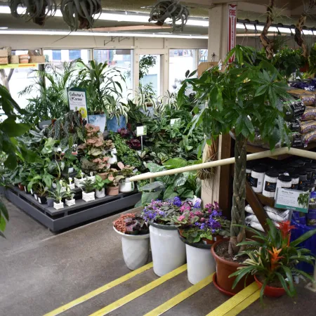 Indoor garden center aisle with various potted plants, flowers, hanging plants, and gardening supplies on shelves.