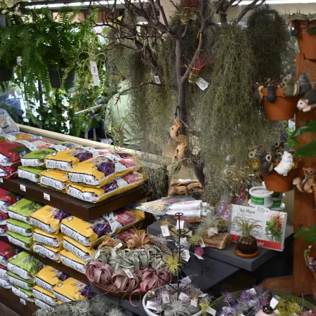 Indoor garden shop display with air plants, hanging Spanish moss, potting soil bags, and decorative plant holders.