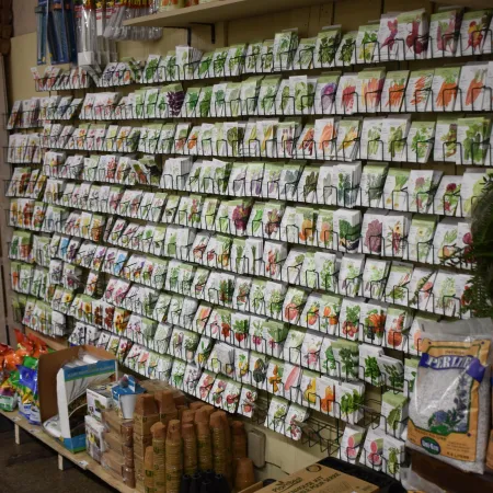 Display wall of various seed packets organized in racks with gardening supplies on lower shelves in a store.