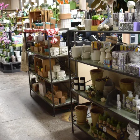 Wooden and metal shelves filled with pottery, plants, soaps, and home decor in a bright artisan shop.