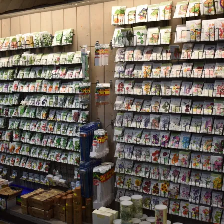 Wall display of numerous colorful seed packets organized on shelves in a gardening store or section.
