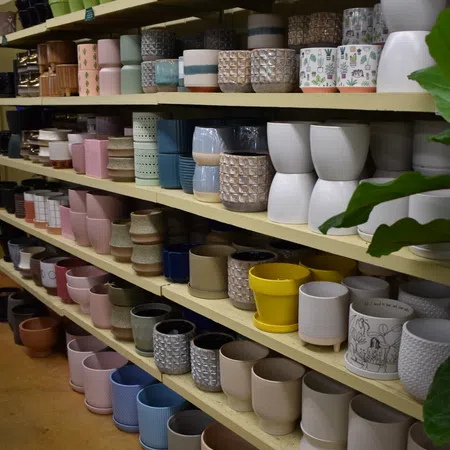 Rows of colorful ceramic and clay plant pots displayed on multiple wooden shelves in a store.