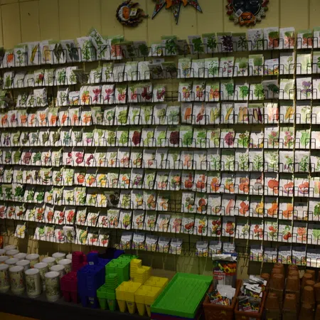Wall display of various colorful seed packets organized in rows above gardening supplies and pots.