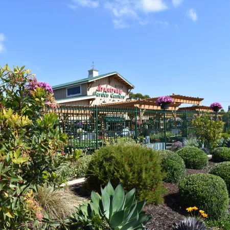Landscaped garden with shrubs and succulents in front of a garden center building under blue sky.