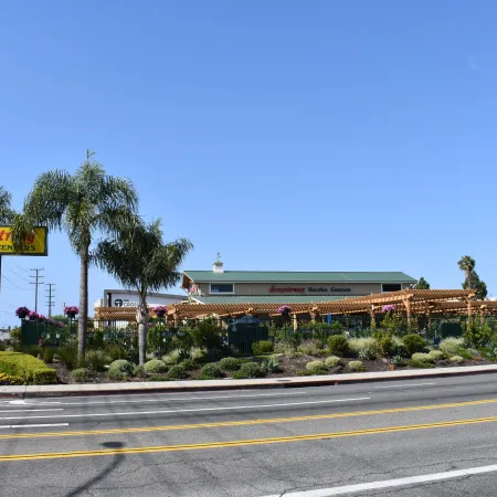 Armstrong Garden Center with palm trees and flower beds along a sunny roadside under clear blue sky