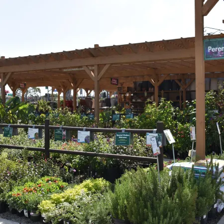 Outdoor garden center section with diverse perennial plants under wooden pergola and signage