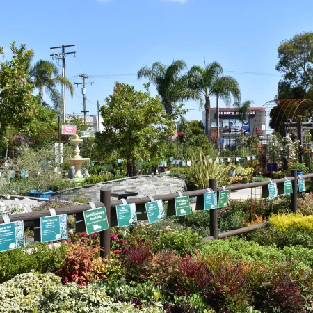 Outdoor garden center with diverse plants, trees, and labeled sections under a clear blue sky