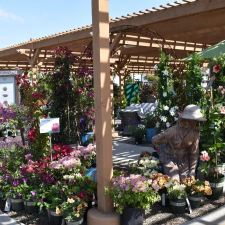 Outdoor garden center with wooden pergola, colorful flowers, green plants, and a gardener statue under sunny sky.