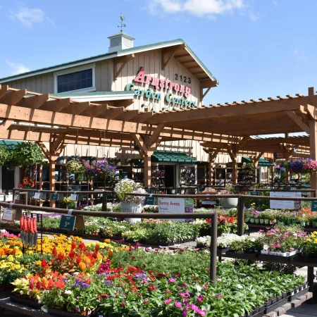 Outdoor garden center with colorful flowers under wooden pergolas and a large store building in the background.