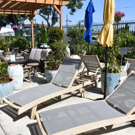 Outdoor patio area with wooden lounge chairs, potted plants, umbrellas, and seating under a pergola on a sunny day.