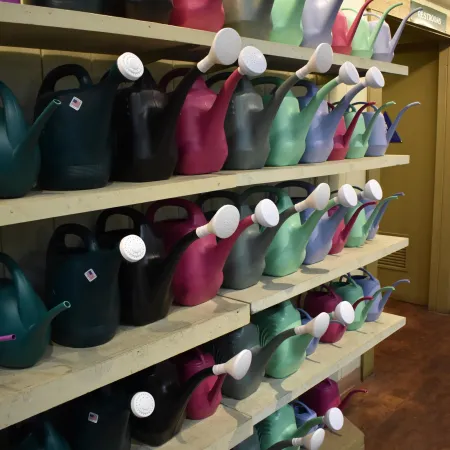Rows of colorful plastic watering cans neatly arranged on wooden shelves indoors.