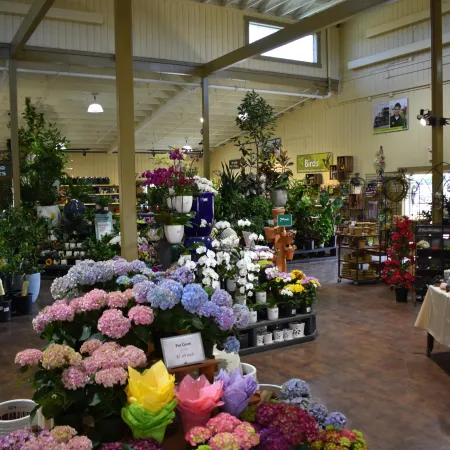 Indoor garden center with colorful potted flowers and plants displayed on shelves and tables under bright lighting.