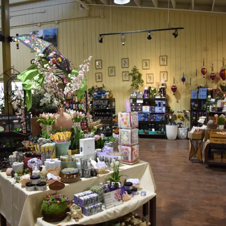 Interior of a bright floral shop displaying flowers, gifts, and decorative items on tables and shelves.