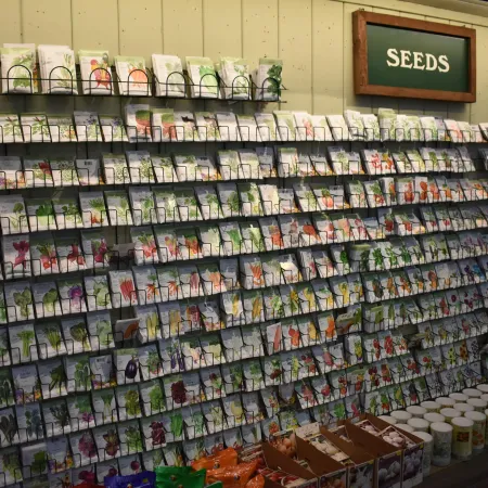 Wall display of various seed packets organized for sale below a green sign labeled SEEDS in a gardening store.