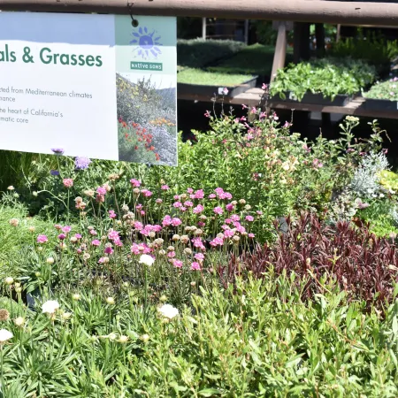 Garden center section featuring a variety of perennial plants and grasses with informational signage.