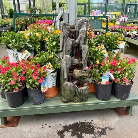 Colorful flowering plants and a decorative stone water fountain displayed in a greenhouse nursery.