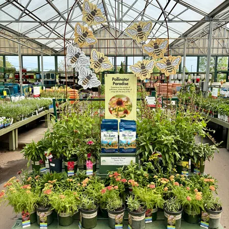 Pollinator Paradise display with potted flowering plants and bee decorations in a greenhouse nursery.
