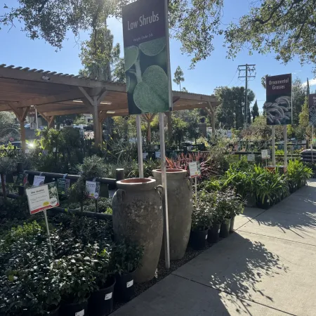Outdoor garden center aisle with various potted plants under bright sunlight and labeled plant categories.