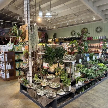 Indoor garden store display with various potted plants, hanging moss, gardening supplies, and plant care products