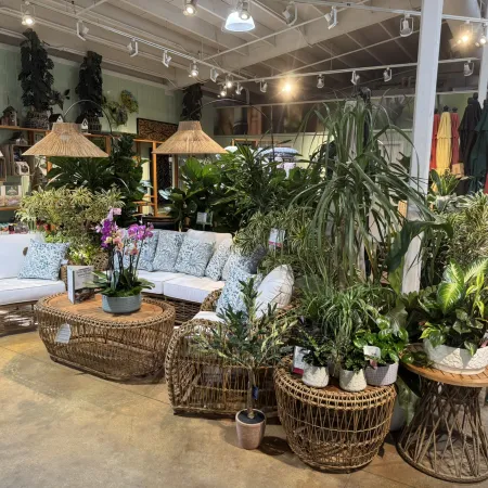 Indoor garden center seating area with wicker furniture surrounded by lush green and flowering plants under overhead lighting.