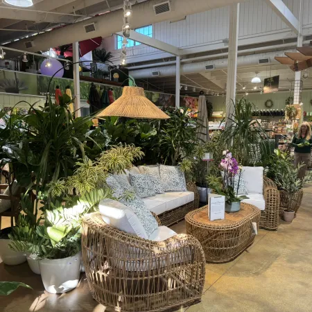 Cozy indoor garden store area with wicker furniture, white cushions, green plants, and hanging rattan lamp.
