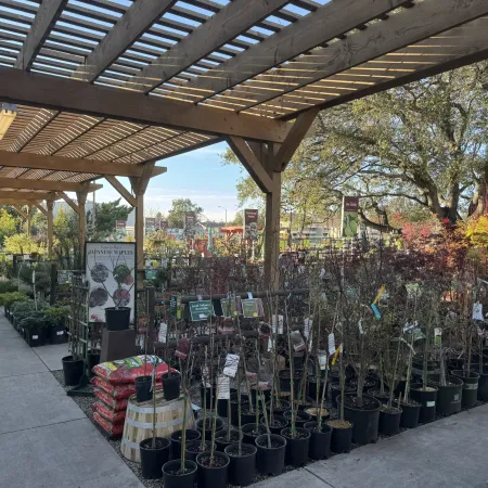 Outdoor garden center with a wooden pergola, rows of potted plants, trees, and landscaping supplies under clear sky