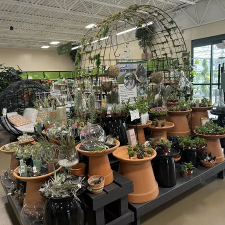 Indoor garden store display with terracotta pots, succulents, hanging plants, and wicker furniture seating area.