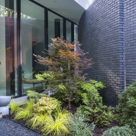 Modern house garden with diverse green plants and a curved dark brick wall alongside glass windows.