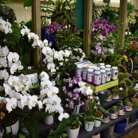 Indoor garden display with blooming white and purple orchids, potted plants, and gardening supplies on shelves.