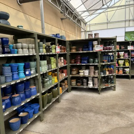 Shelves filled with colorful ceramic plant pots and houseplant accessories in a bright greenhouse store section