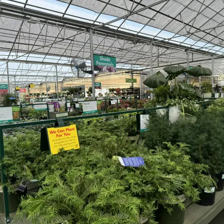 Indoor garden center with rows of potted shade perennials and various plant care signs under a glass roof