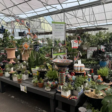 Greenhouse display of various succulents, decorative pots, garden ornaments, and plant care products under translucent roof.