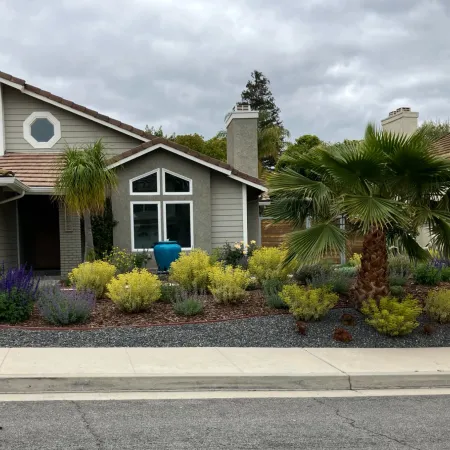 Front view of a modern suburban house with drought-tolerant landscaping and palm tree under cloudy sky.