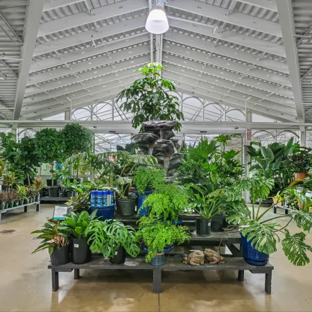 Indoor garden center with various potted plants displayed on tables under skylight roof.
