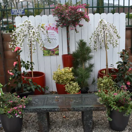 Garden display with blooming white and pink flowers, green plants, red pots, gravel ground, and planting mix bags.