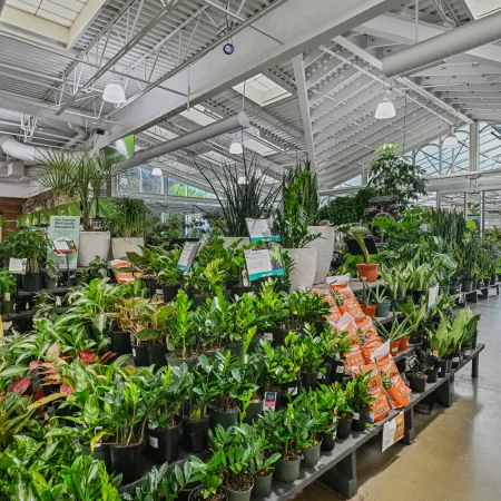 Indoor garden center filled with various potted green plants under a bright, white ceiling with skylights.