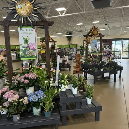 Indoor garden center with potted flowers, plants, and decorative sun sculptures on black display tables.